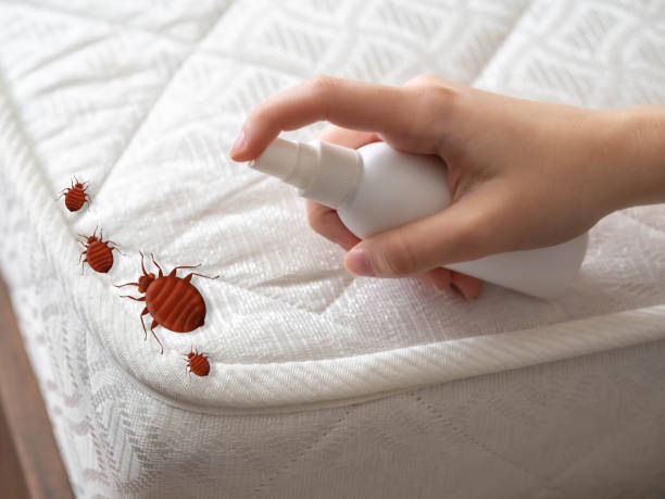 Best Indoor Pest Control  in Roessleville, NY